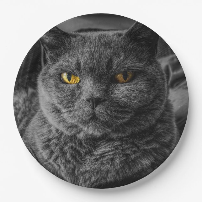 Schwarze Katze Pappteller (Vorderseite)