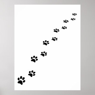 Schwarze Katze Pfoten auf Weiß Poster