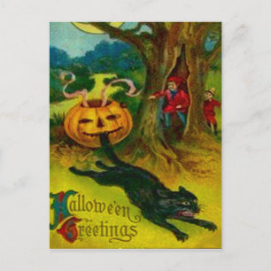 Schwarze Katze Postkarte