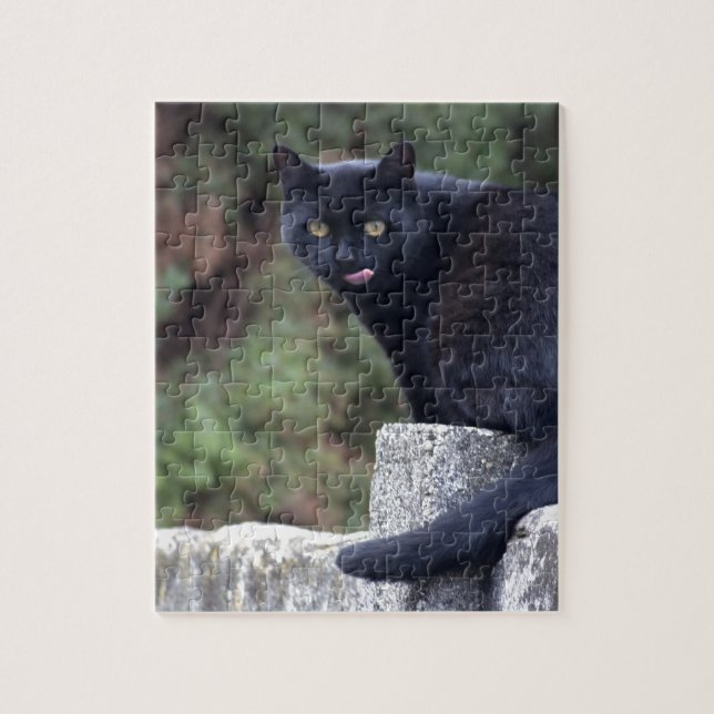 Schwarze Katze Puzzle (Vertikal)