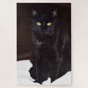 Schwarze Katze Puzzle
