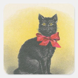 Schwarze Katze Quadratischer Aufkleber