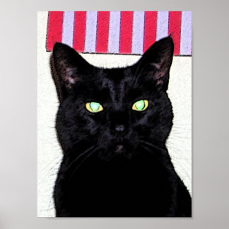 Schwarze Katze / Rot-Weiß-Blau Poster