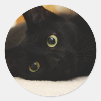 Schwarze Katze Runder Aufkleber
