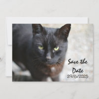 Schwarze Katze Save the Date Einladungskarte