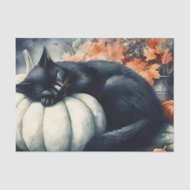 Schwarze Katze Schlafen auf einem weißen Pumpkin-D Seidenpapier (Vorderseite)
