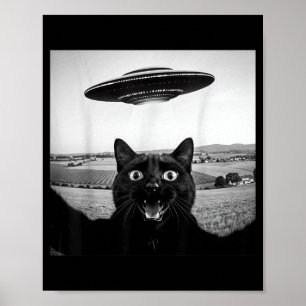 Schwarze Katze Selfie Ufo Alien Lustige Geschenke Poster