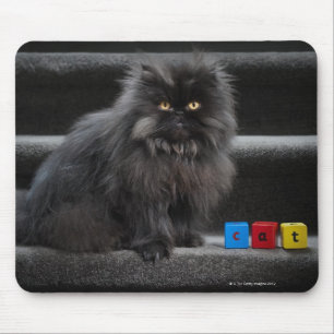 Schwarze Katze sitzt auf Treppen mit Gebäude Blöck Mousepad