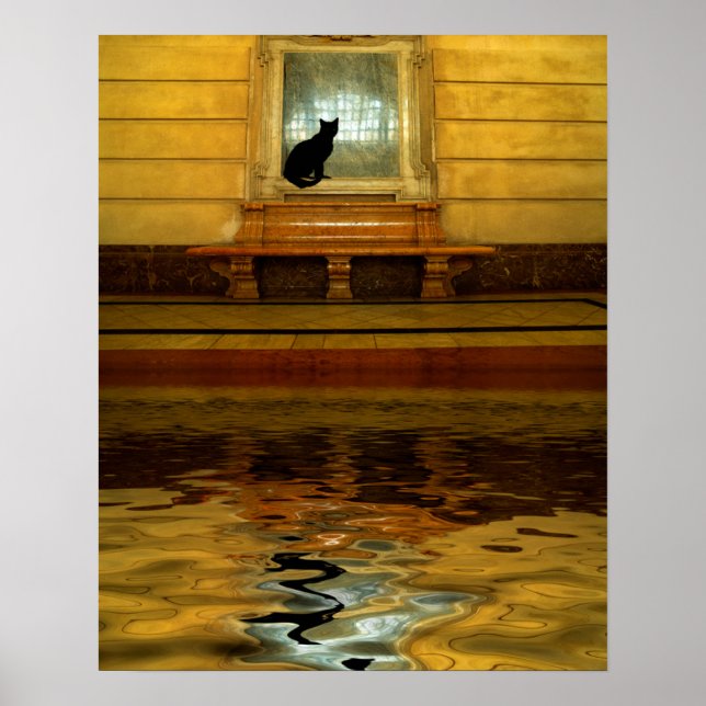 Schwarze Katze über Wasser Poster (Vorne)