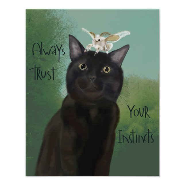 Schwarze Katze und Seidenmothe Fotodruck (Vorne)