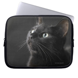 Schwarze Katze vor schwarzem Hintergrund, nah-up Laptopschutzhülle