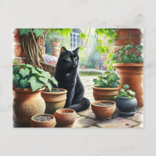 Schwarze Katze Watching Catnip Grow Niedlich Postkarte