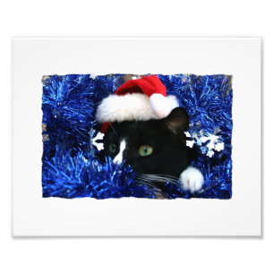 Schwarze Katze, Weihnachtsmannmütze, blaue Tinte,  Fotodruck