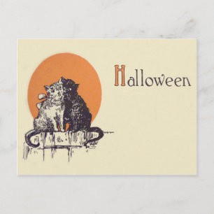 Schwarze Katze Weiße Katze Vollmond-Romanze Postkarte