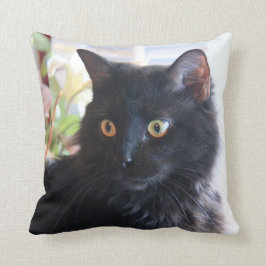 Schwarze Katze, Wurfskissen Kissen