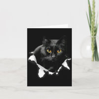 Schwarze Katze zerrissenes Tuch Geschenke für Katz