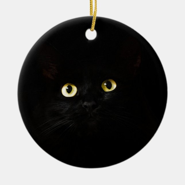 Schwarze Katzen-Ansicht-Katzenaugen-Katze, die Keramik Ornament (Vorne)