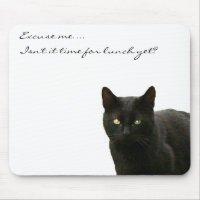 Schwarze Katzen-Aufpassen