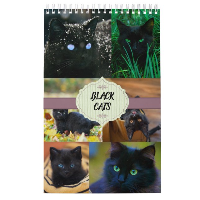Schwarze Katzen eine Seite Kalender (Titelbild)
