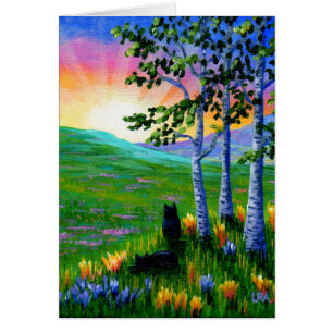 Schwarze Katzen Farbenfrohe Sonnenuntergänge Lands