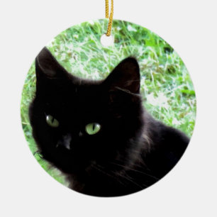 Schwarze Katzen-Foto-Entwurf Halloweens Keramikornament