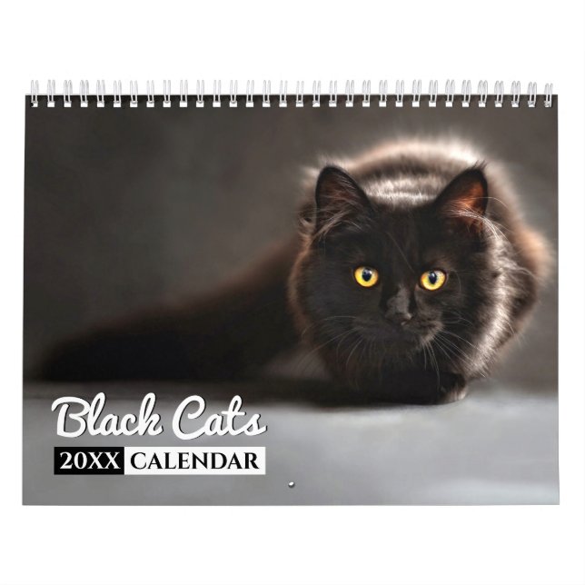 Schwarze Katzen Foto Mauerkalender Kalender (Titelbild)