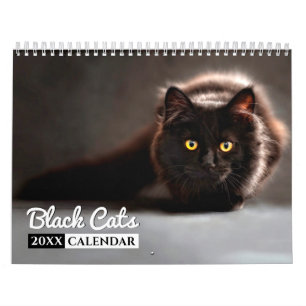 Schwarze Katzen Foto Mauerkalender Kalender