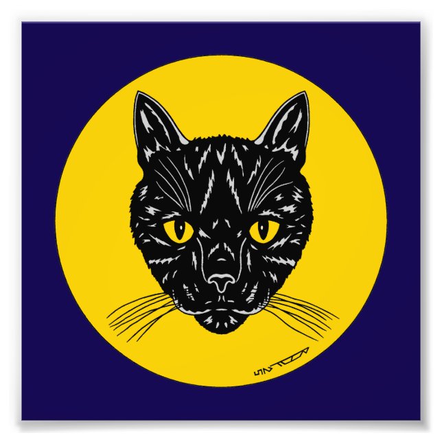 Schwarze Katzen-Gesicht-Foto-Kunst Fotodruck (Vorne)