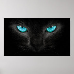 Schwarze Katzen-Gesicht mit Türkis-Augen Poster