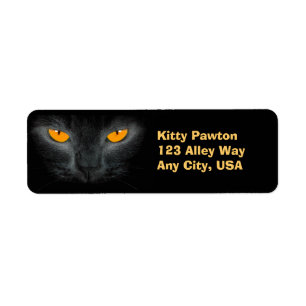 Schwarze Katzen-Gesichts-Orange mustert