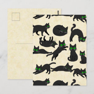 Schwarze Katzen Grüne Augen Niedliche Kätzchen War Postkarte