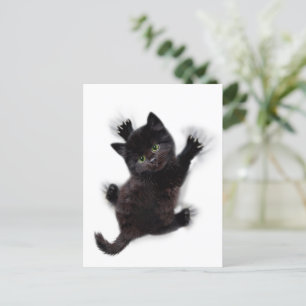 Schwarze Katzen klettern auf menschlichem Rücken Postkarte