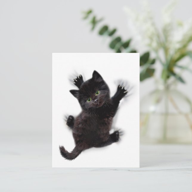 Schwarze Katzen klettern auf menschlichem Rücken Postkarte (Stehend Vorderseite)