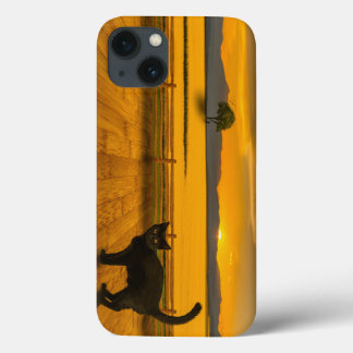 Schwarze Katzen-Landschaft Case-Mate iPhone Hülle