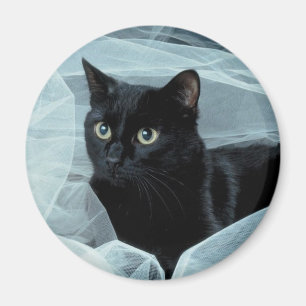 Schwarze Katzen-Magnet Magnet