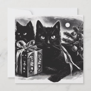 Schwarze Katzen mit Weihnachtsgeschenk Karte