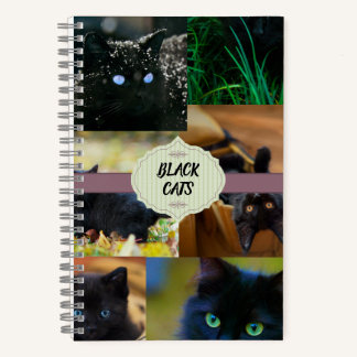 Schwarze Katzen Notizbuch