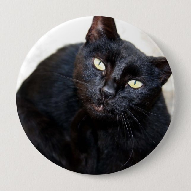 Schwarze Katzen-Porträt Button (Vorderseite)