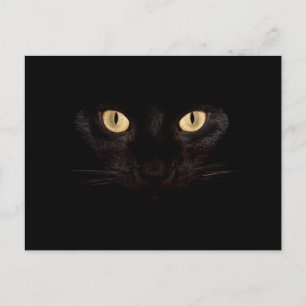 Schwarze Katzen-Postkarte Postkarte
