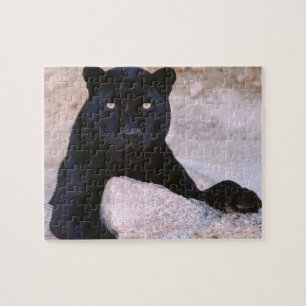 Schwarze Katzen-Puzzlespiel Puzzle