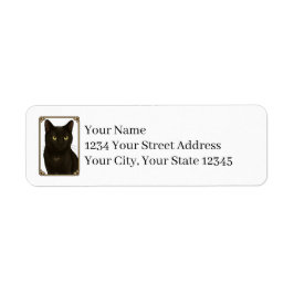 Schwarze Katzen Rücksende-Adressetiketten