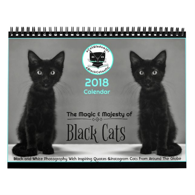 Schwarze Katzen sagen allem Kalender 2018 (Titelbild)