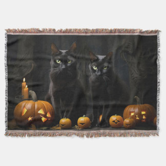 Schwarze Katzen schwarz Decke