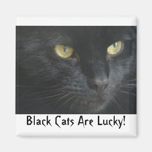 Schwarze Katzen sind glücklich! Magnet