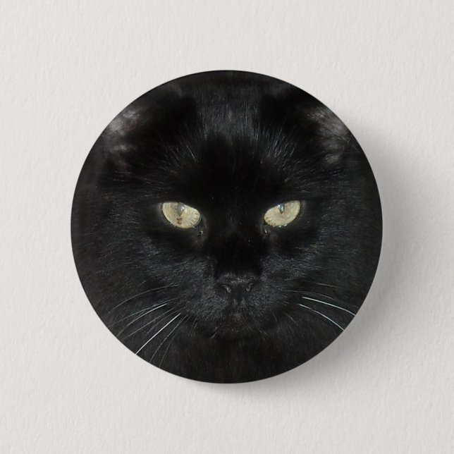 Schwarze Katzen-Starren Button (Vorderseite)