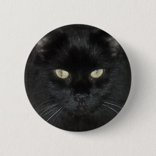 Schwarze Katzen-Starren Button