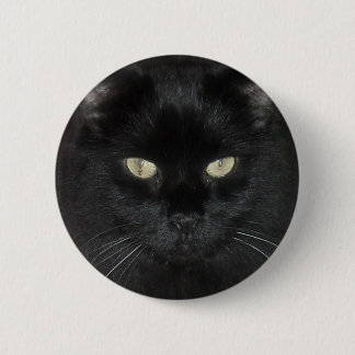 Schwarze Katzen-Starren Button