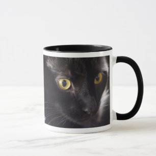 Schwarze Katzen-Tasse Tasse