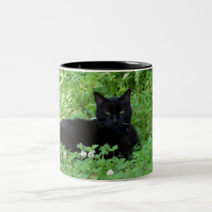 Schwarze Katzen-Tasse Zweifarbige Tasse