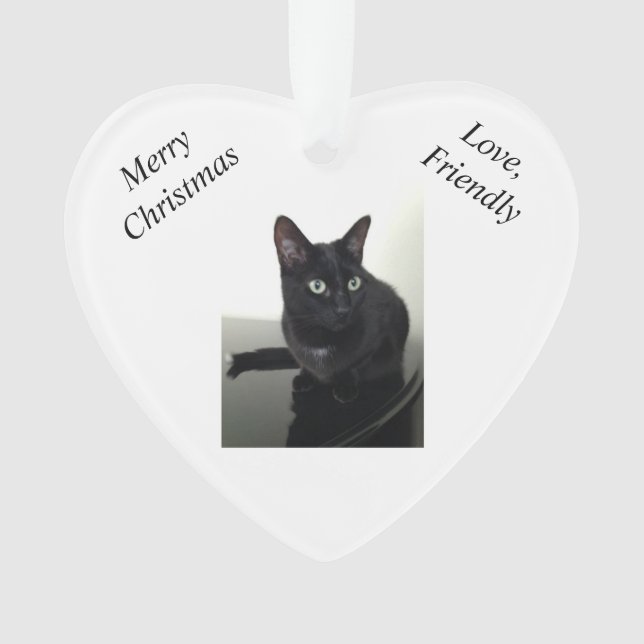 Schwarze Katzen-Weihnachtsverzierung Ornament (Vorderseite)